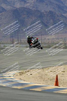 media/Mar-13-2022-SoCal Trackdays (Sun) [[112cf61d7e]]/Turns 9 and 8 (1020am)/